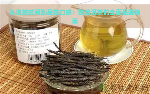 从泡茶时间到品茶口感：熟普洱茶的全面品鉴指南