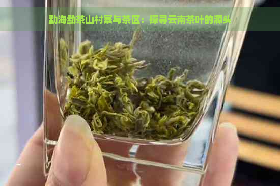 勐海勐茶山村寨与茶区：探寻云南茶叶的源头