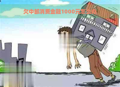 欠中邮消费金融1000元怎么办