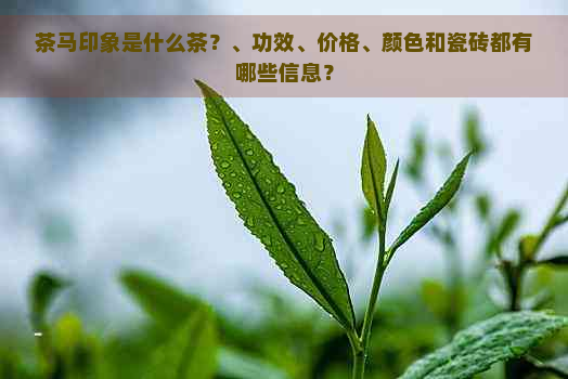 茶马印象是什么茶？、功效、价格、颜色和瓷砖都有哪些信息？