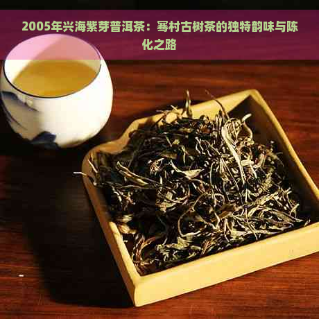 2005年兴海紫芽普洱茶：骞村古树茶的独特韵味与陈化之路