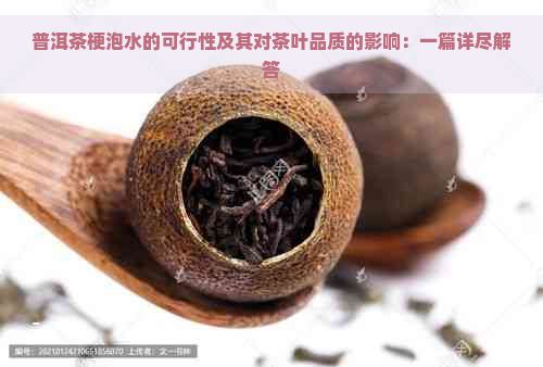 普洱茶梗泡水的可行性及其对茶叶品质的影响：一篇详尽解答