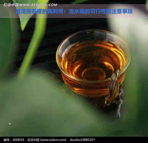 普洱茶茶梗的再利用：泡水喝的可行性和注意事项