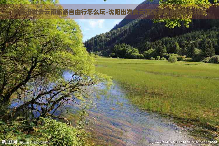 沈阳出发去云南旅游自由行怎么玩-沈阳出发去云南旅游自由行怎么玩的