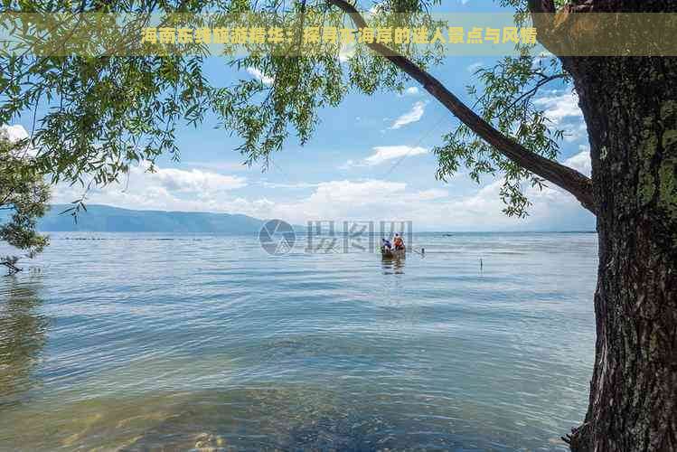 海南东线旅游精华：探寻东海岸的迷人景点与风情