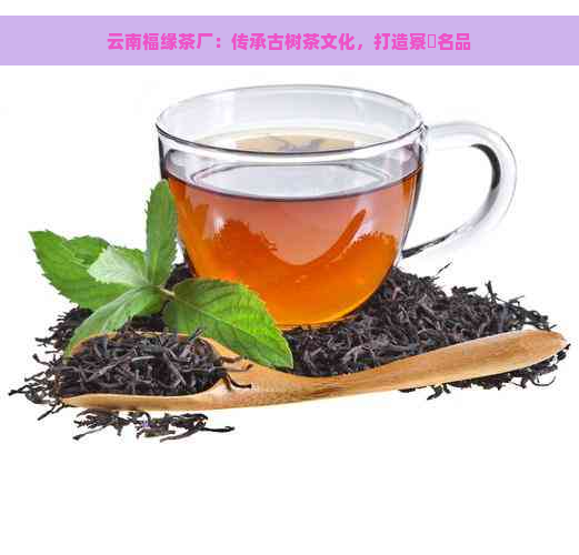 云南福缘茶厂：传承古树茶文化，打造寮樼名品