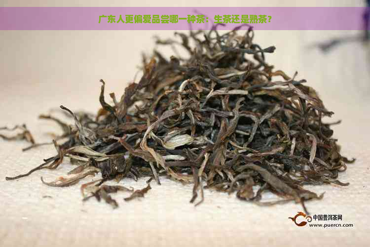 广东人更偏爱品尝哪一种茶：生茶还是熟茶？