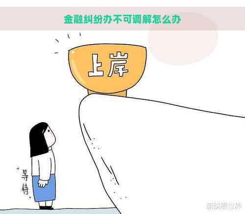 金融纠纷办不可调解怎么办