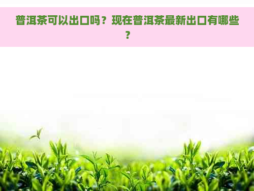 普洱茶可以出口吗？现在普洱茶最新出口有哪些？