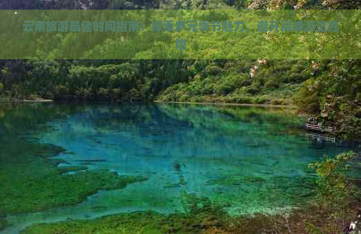 云南旅游更佳时间指南：探索多元季节魅力，避开高峰游览胜地