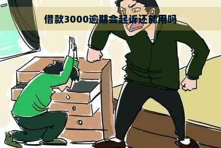 借款3000逾期会起诉还能用吗