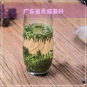 广东省天成茶叶