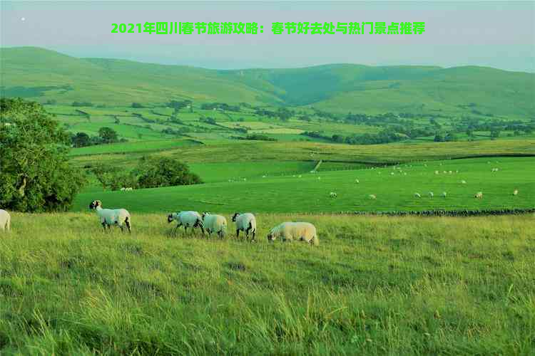 2021年四川春节旅游攻略：春节好去处与热门景点推荐