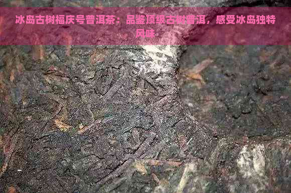 冰岛古树福庆号普洱茶：品鉴顶级古树普洱，感受冰岛独特风味