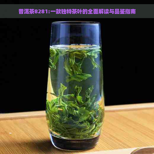 普洱茶8281:一款独特茶叶的全面解读与品鉴指南