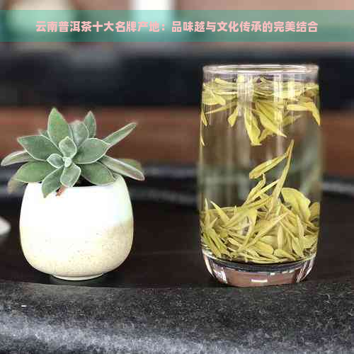 云南普洱茶十大名牌产地：品味越与文化传承的完美结合