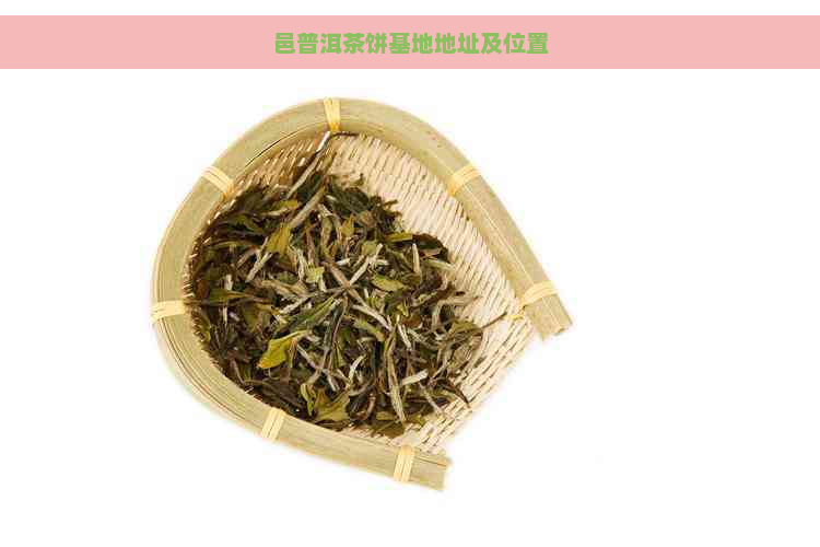 邑普洱茶饼基地地址及位置