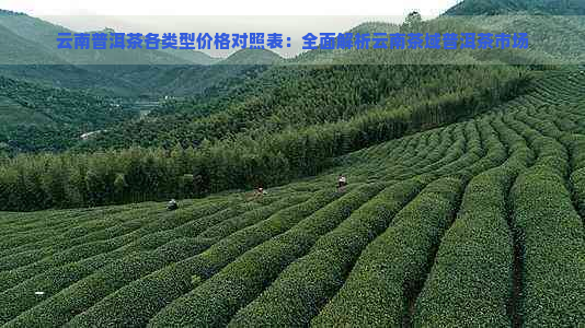 云南普洱茶各类型价格对照表：全面解析云南茶域普洱茶市场