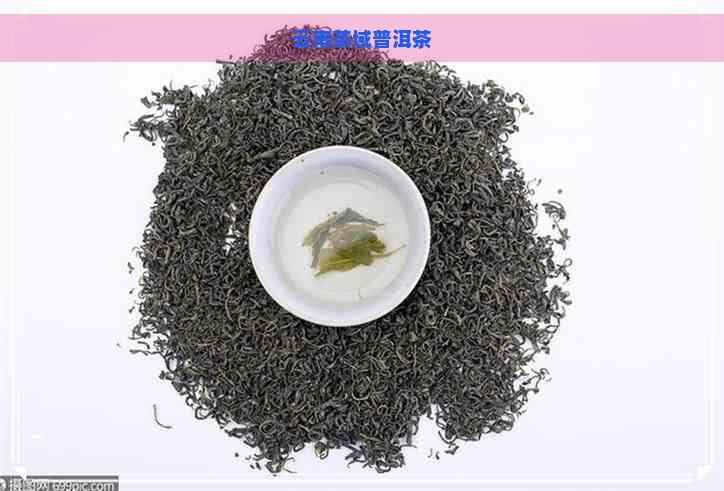 云南茶域普洱茶