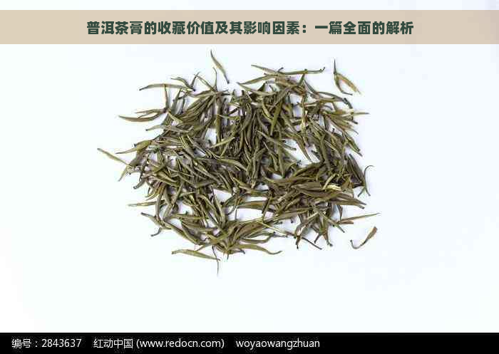 普洱茶膏的收藏价值及其影响因素：一篇全面的解析