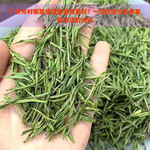 广东芳村哪家普洱茶品质更好？一文对比分析多家茶叶店的优劣