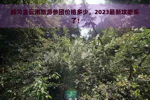 都匀去云南旅游参团价格多少，2023最新攻略来了！