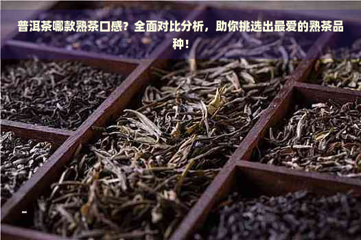 普洱茶哪款熟茶口感？全面对比分析，助你挑选出更爱的熟茶品种！