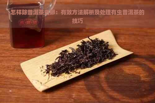 怎样除普洱茶虫卵：有效方法解析及处理有虫普洱茶的技巧