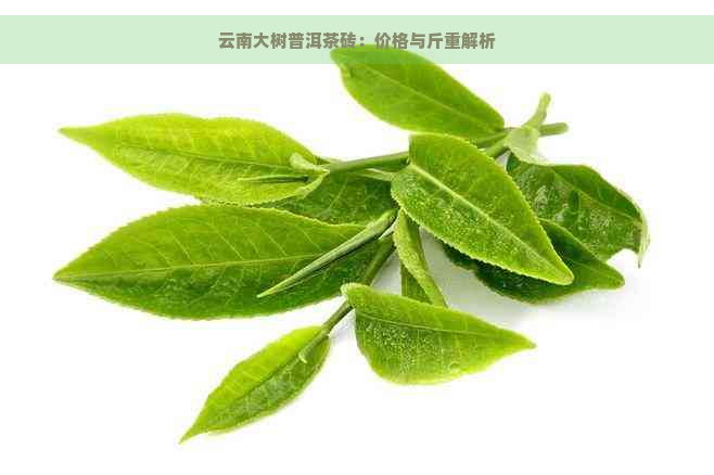 云南大树普洱茶砖：价格与斤重解析