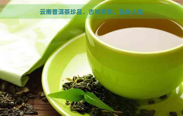 云南普洱茶珍品，古树茶韵，品味人生