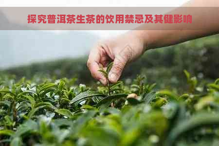 探究普洱茶生茶的饮用禁忌及其健影响