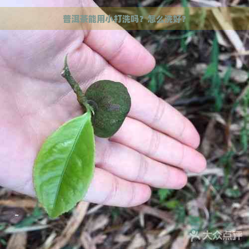 普洱茶能用小打洗吗？怎么洗好？