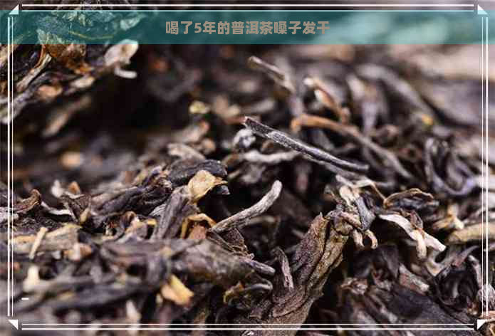 喝了5年的普洱茶嗓子发干