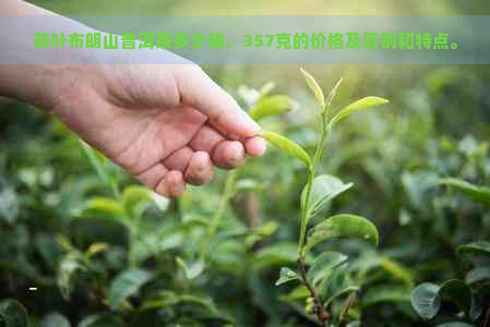 茶叶布朗山普洱茶多少钱，357克的价格及区别和特点。