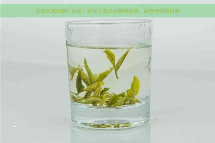 云南黄龙山茶厂出品：全面了解土司茶砖生茶，品尝与选购指南