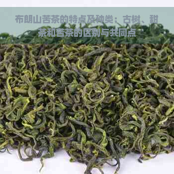 布朗山苦茶的特点及种类：古树、甜茶和苦茶的区别与共同点