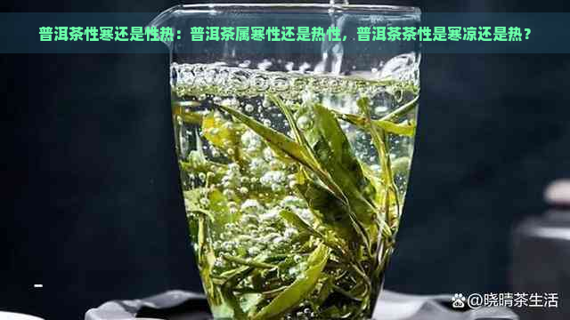 普洱茶性寒还是性热：普洱茶属寒性还是热性，普洱茶茶性是寒凉还是热？