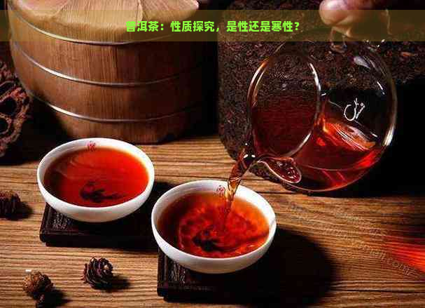 普洱茶：性质探究，是性还是寒性？