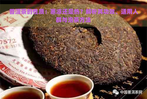 普洱茶的性质：寒凉还是热？解析其功效、适用人群与泡茶方法