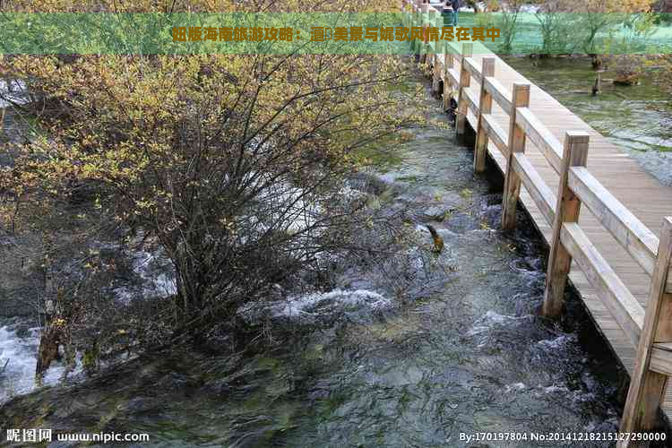 妞版海南旅游攻略：澶氬美景与娓歌风情尽在其中