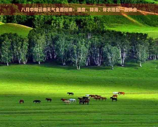 八月中旬云南天气全面指南：温度、降雨、穿衣搭配一应俱全