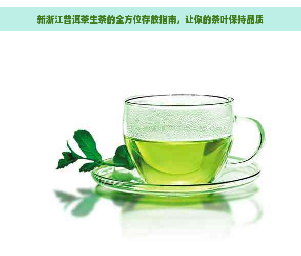 新浙江普洱茶生茶的全方位存放指南，让你的茶叶保持品质