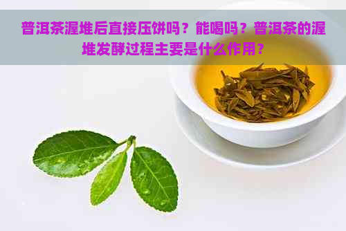 普洱茶渥堆后直接压饼吗？能喝吗？普洱茶的渥堆发酵过程主要是什么作用？