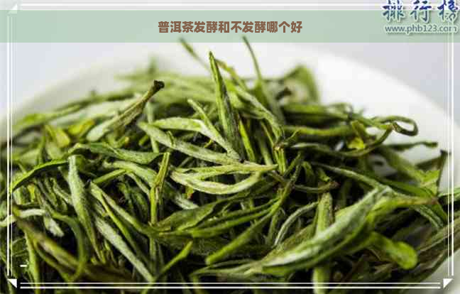 普洱茶发酵和不发酵哪个好