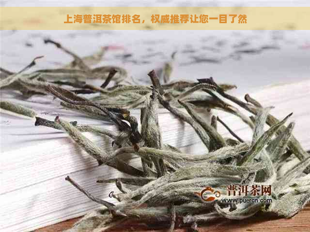 上海普洱茶馆排名，权威推荐让您一目了然