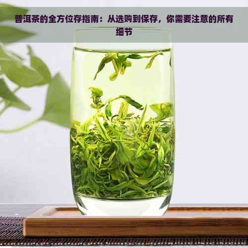 普洱茶的全方位存指南：从选购到保存，你需要注意的所有细节