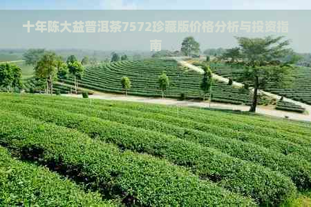 十年陈大益普洱茶7572珍藏版价格分析与投资指南