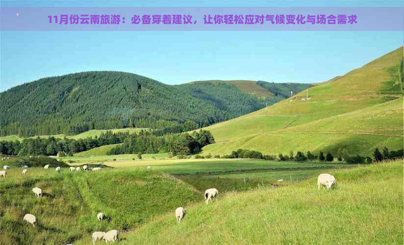 11月份云南旅游：必备穿着建议，让你轻松应对气候变化与场合需求