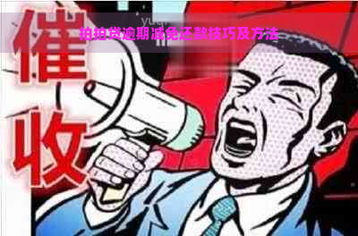 逾期减免还款技巧及方法