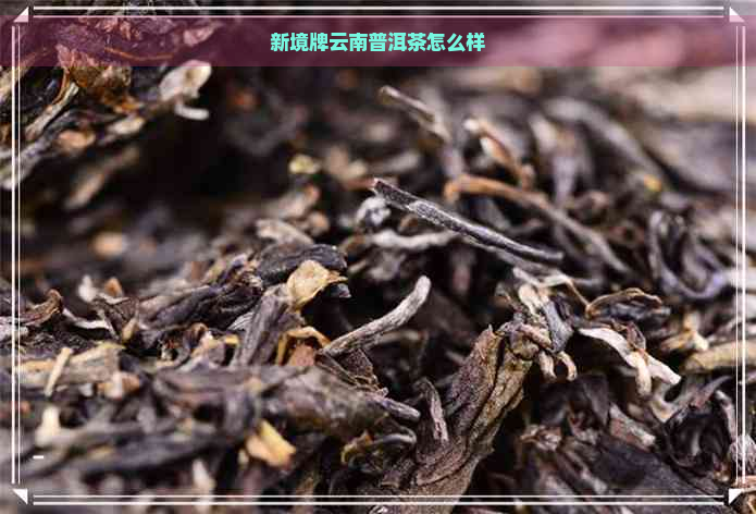 新境牌云南普洱茶怎么样